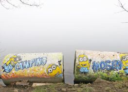 003 - nur der Hallwilersee im dichtem Nebel